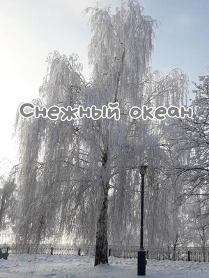 cover image of Снежный океан